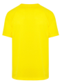 Koszulka męska sportowa JHK T-Shirt Sport Man kolor- GOLD z raglanowymi rękawami. Wykonana z oddychającego, szybkoschnącego poliestru z recyklingu. Gramatura 130g.Dostępne na www.koszulkisuper.com2.png
